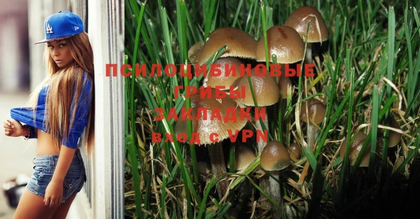 прущий лед Абдулино
