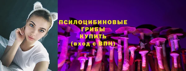 а пвп мука Абаза
