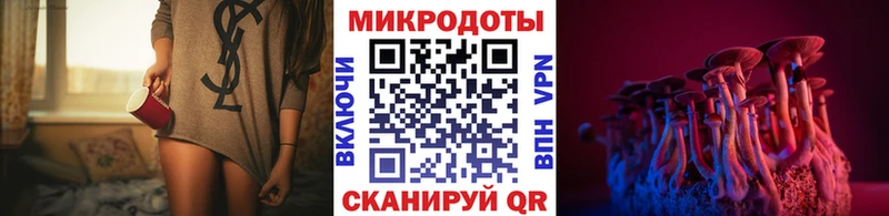 Галлюциногенные грибы Psilocybine cubensis  Лакинск 
